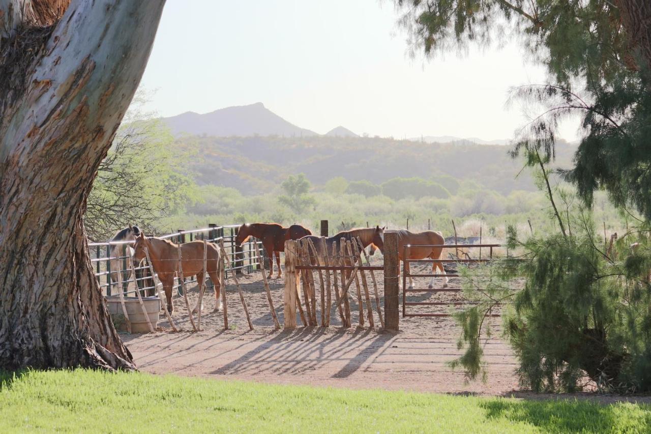 Kay El Bar Guest Ranch Hotel Wickenburg Exterior foto