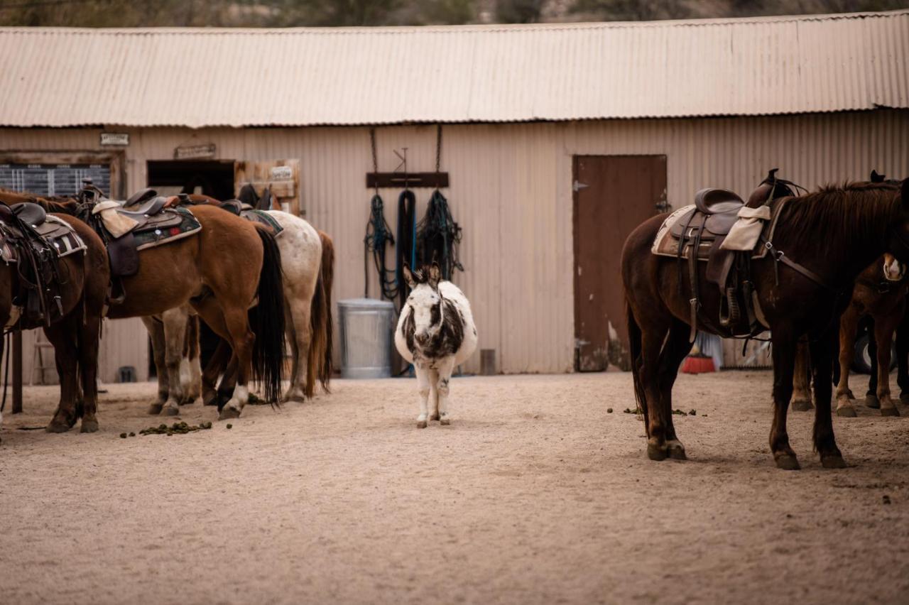 Kay El Bar Guest Ranch Hotel Wickenburg Exterior foto